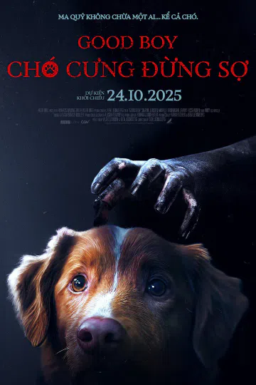 Chó Cưng Đừng Sợ