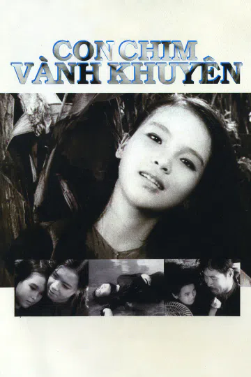 Con Chim Vành Khuyên